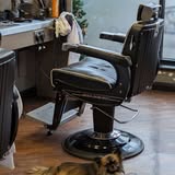 Barber cut example 2